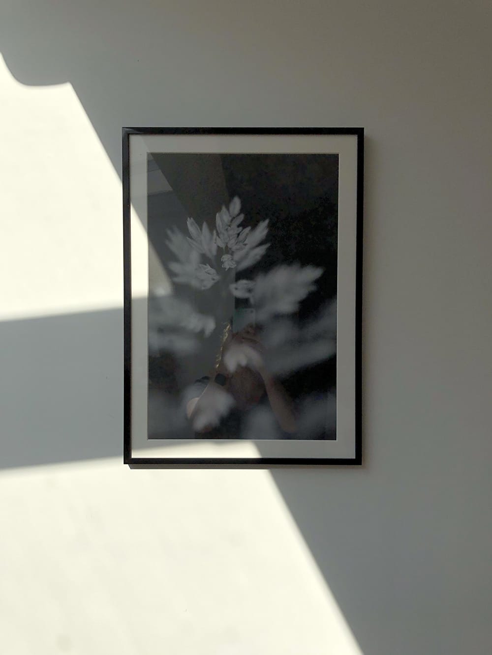 An artprint on a white wall covered in harsh shadow illustrating use of HDR on a mobile phone