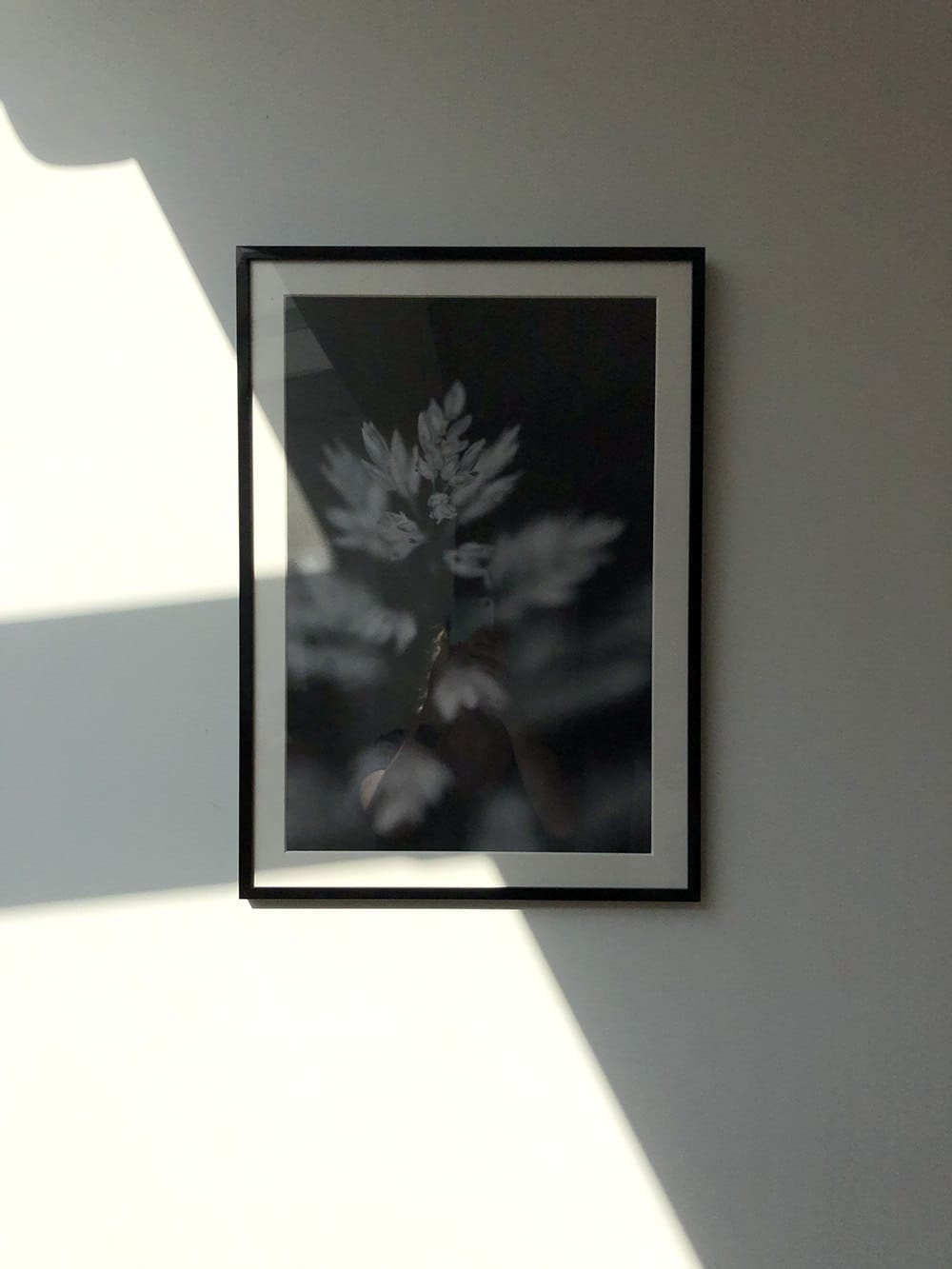 An artprint on a white wall covered in harsh shadow illustrating no use of HDR on a mobile phone